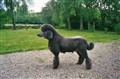 Cilla2002.jpg
